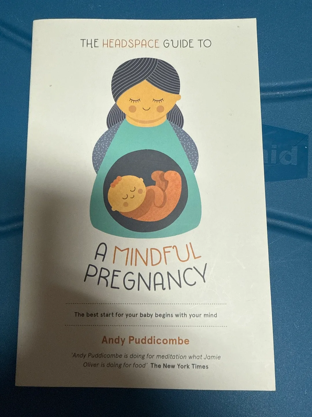 The Headspace Guide to A Mindful Pregnancy by Andy Puddicombe thumbnail