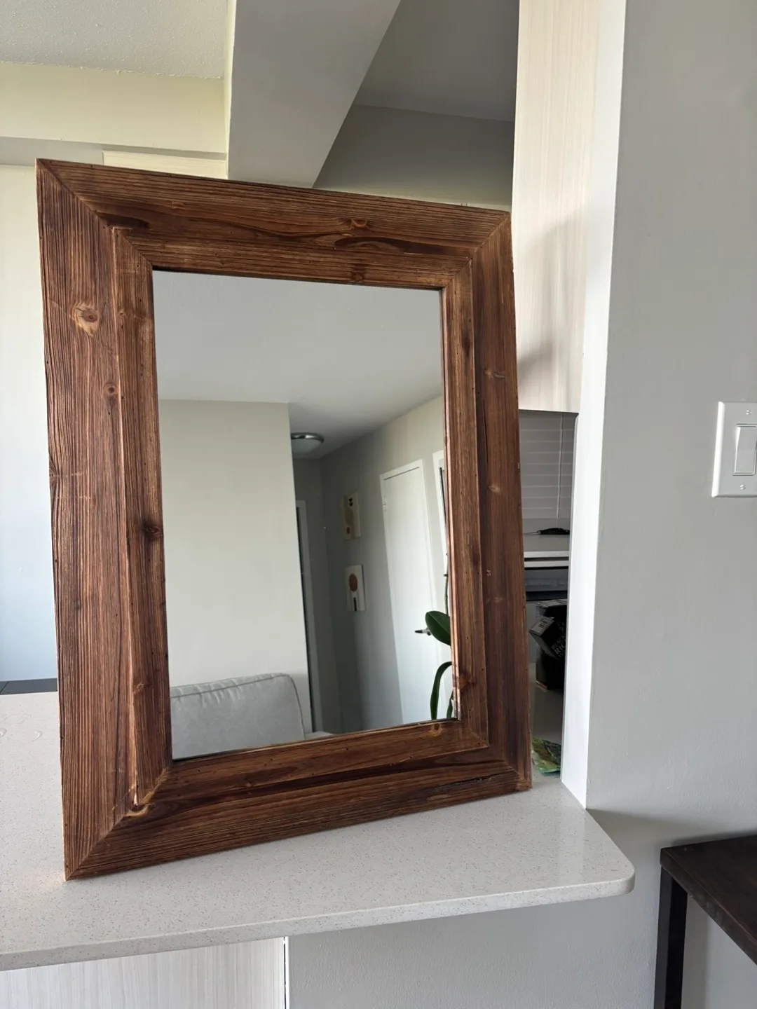 Wood Framed Mirror image indicator(3)