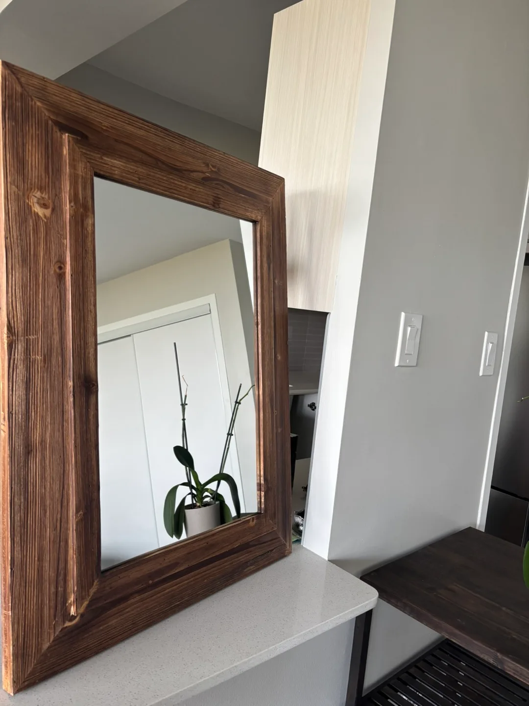 Wood Framed Mirror image indicator(2)