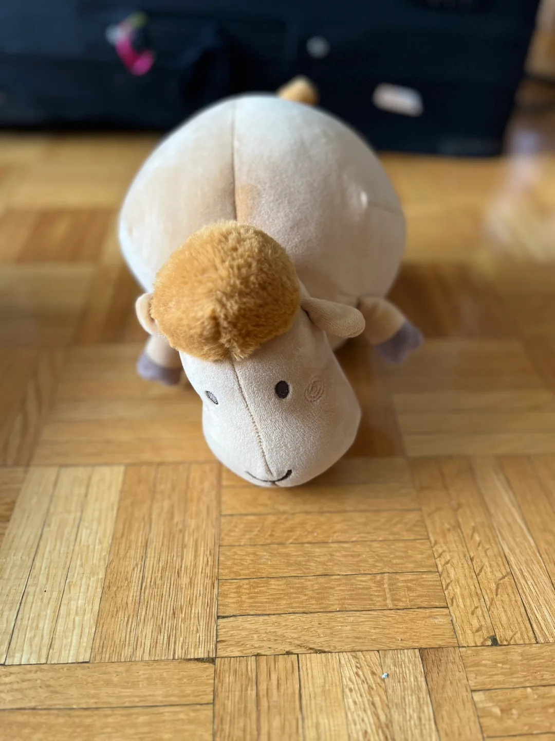 Cute Plush Sheep Toy image indicator(2)