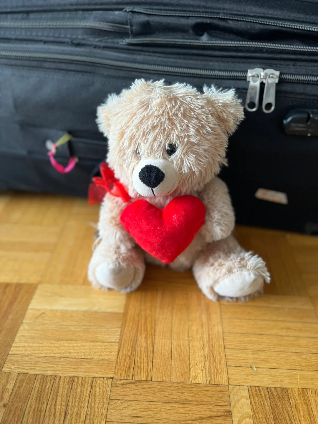 Teddy Bear with Heart thumbnail