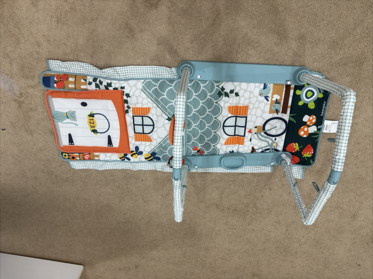 Fisher-Price Baby Activity Gym - photo 3