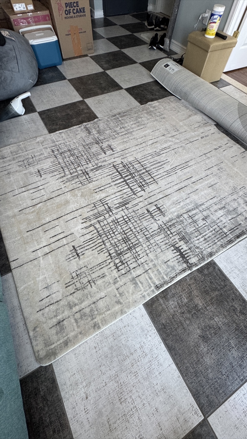 Area Rug - Beige/Gray