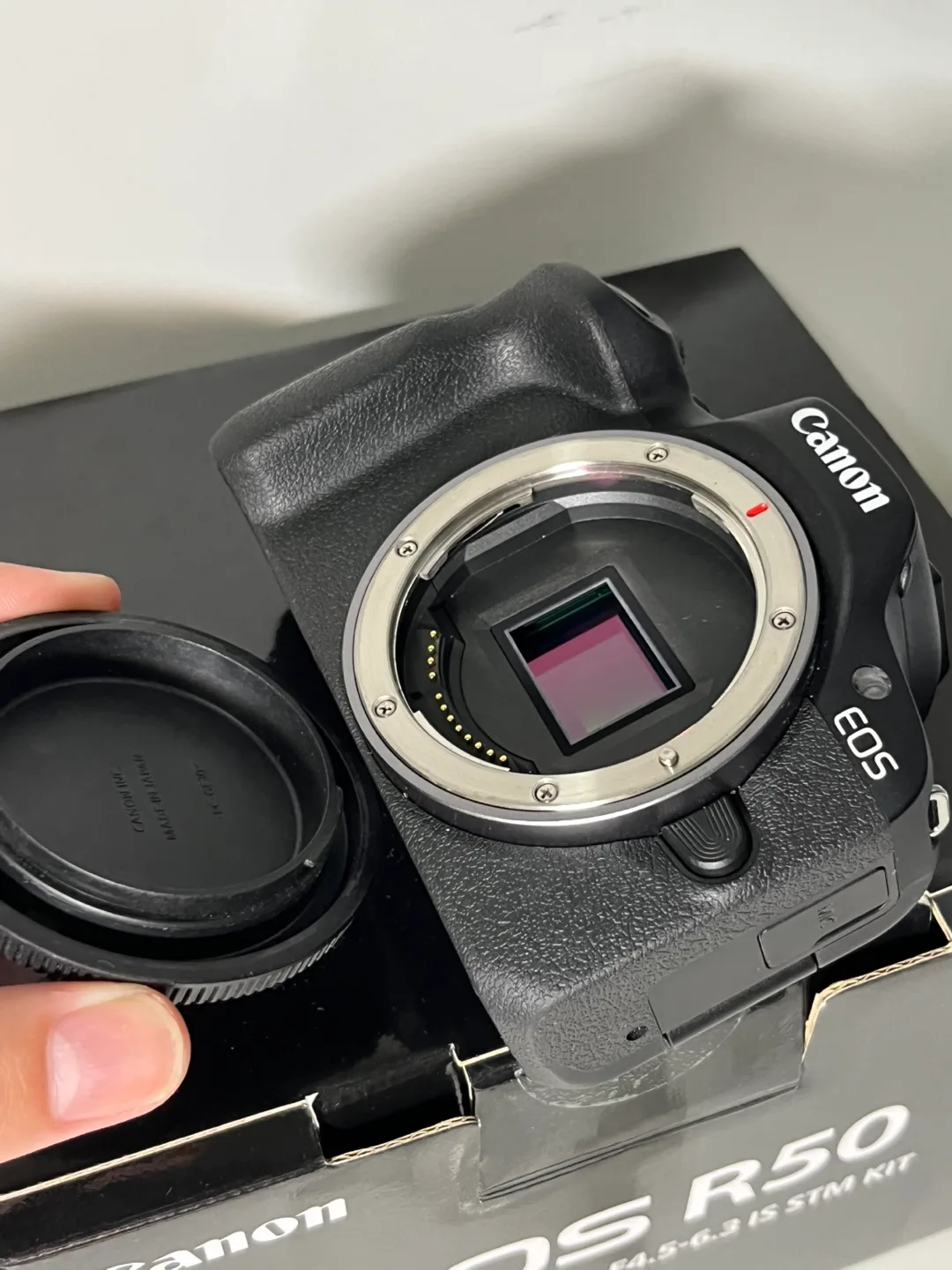 Canon EOS R50 with Kit lens- Open Box image indicator(3)