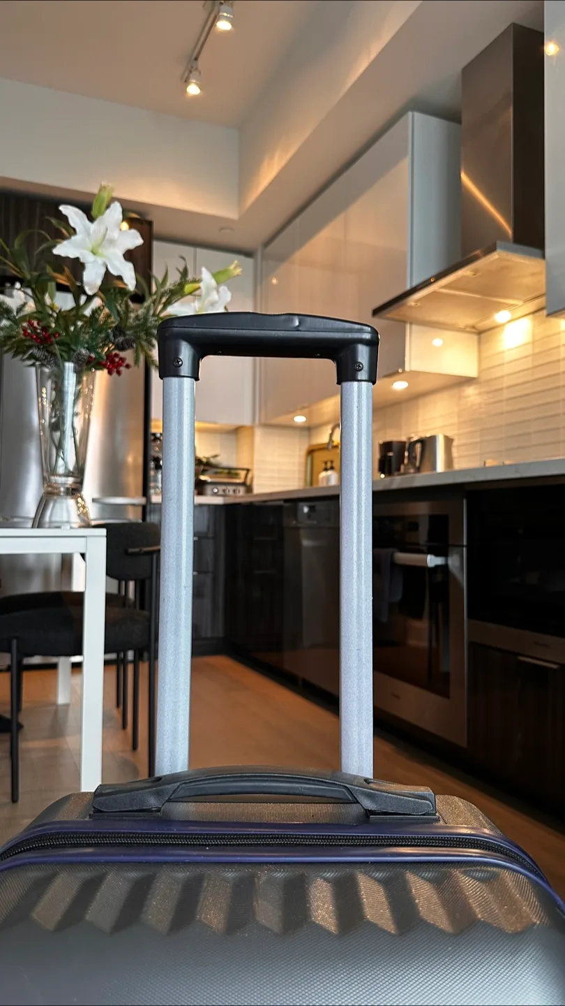 Stonebag Luggage Carry-on Suitcase image indicator(4)