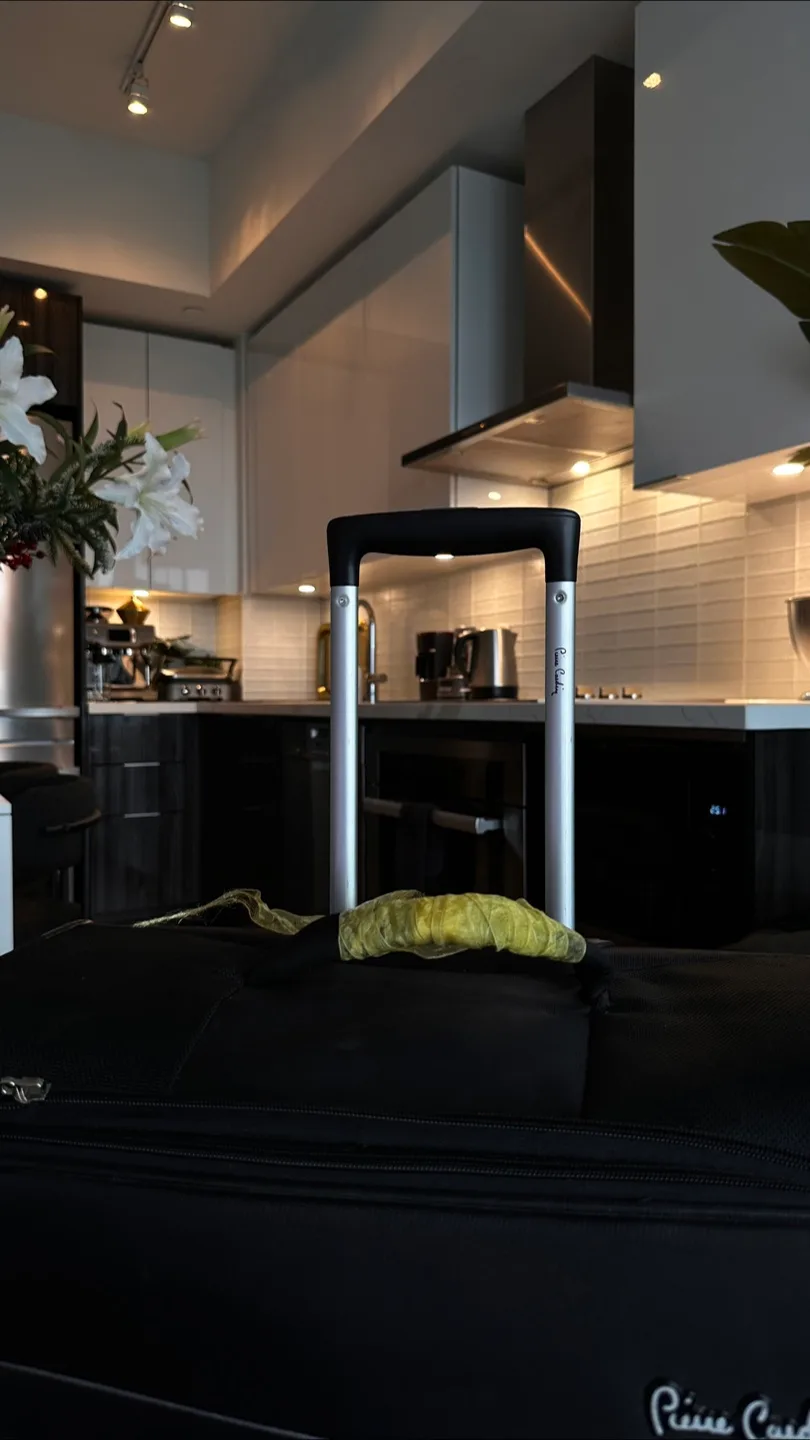 Pierre Cardin Black Suitcase Large image indicator(8)