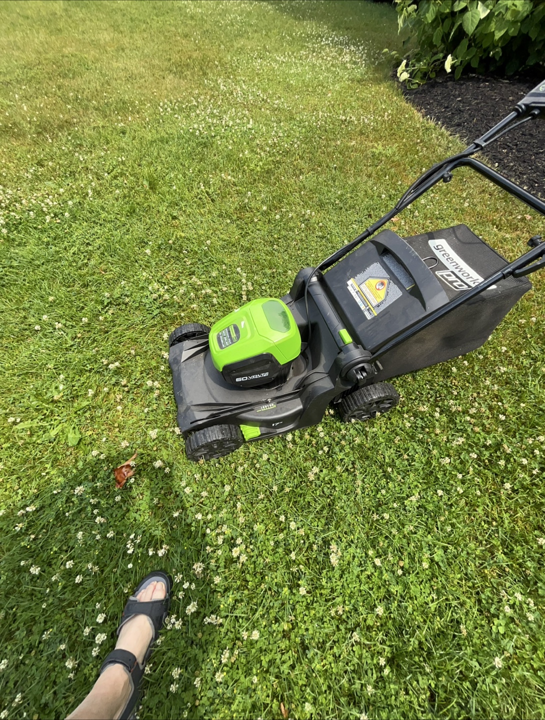 Greenworks Pro 60V 17" Cordless Lawn Mower - photo 2