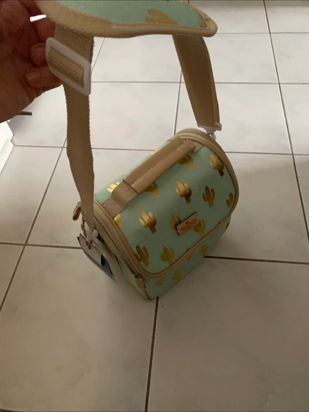 Natural Elements Cactus Lunch Bag thumbnail