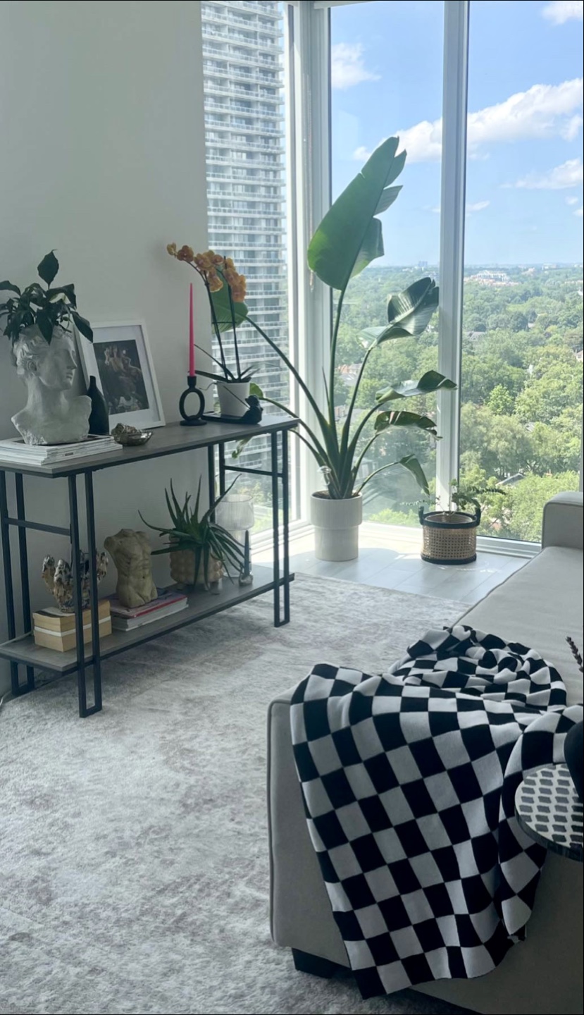 Console table entry way