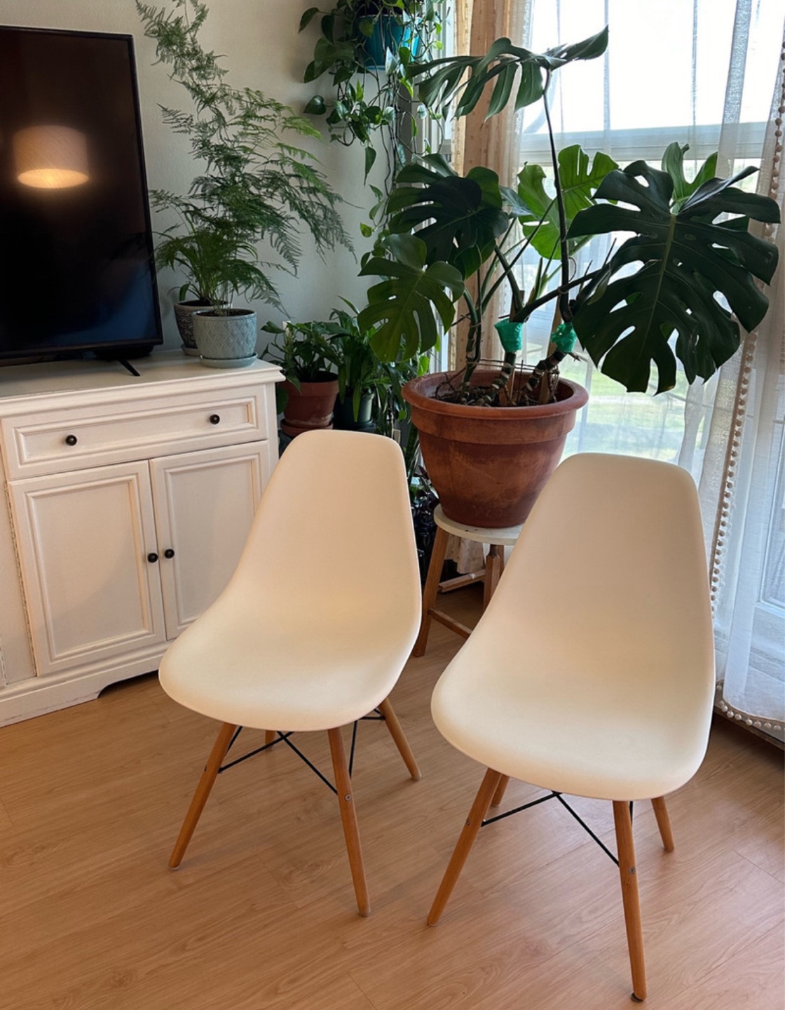 Structube Set of 2  Modern Dining Chairs