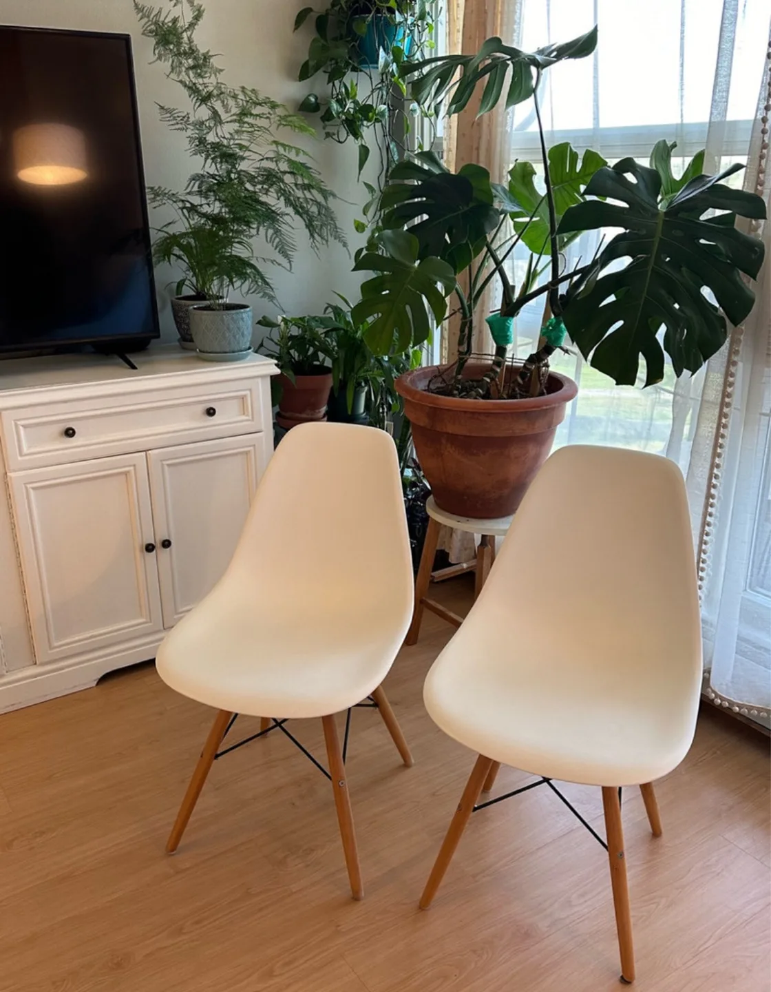 Structube Set of 2  Modern Dining Chairs thumbnail