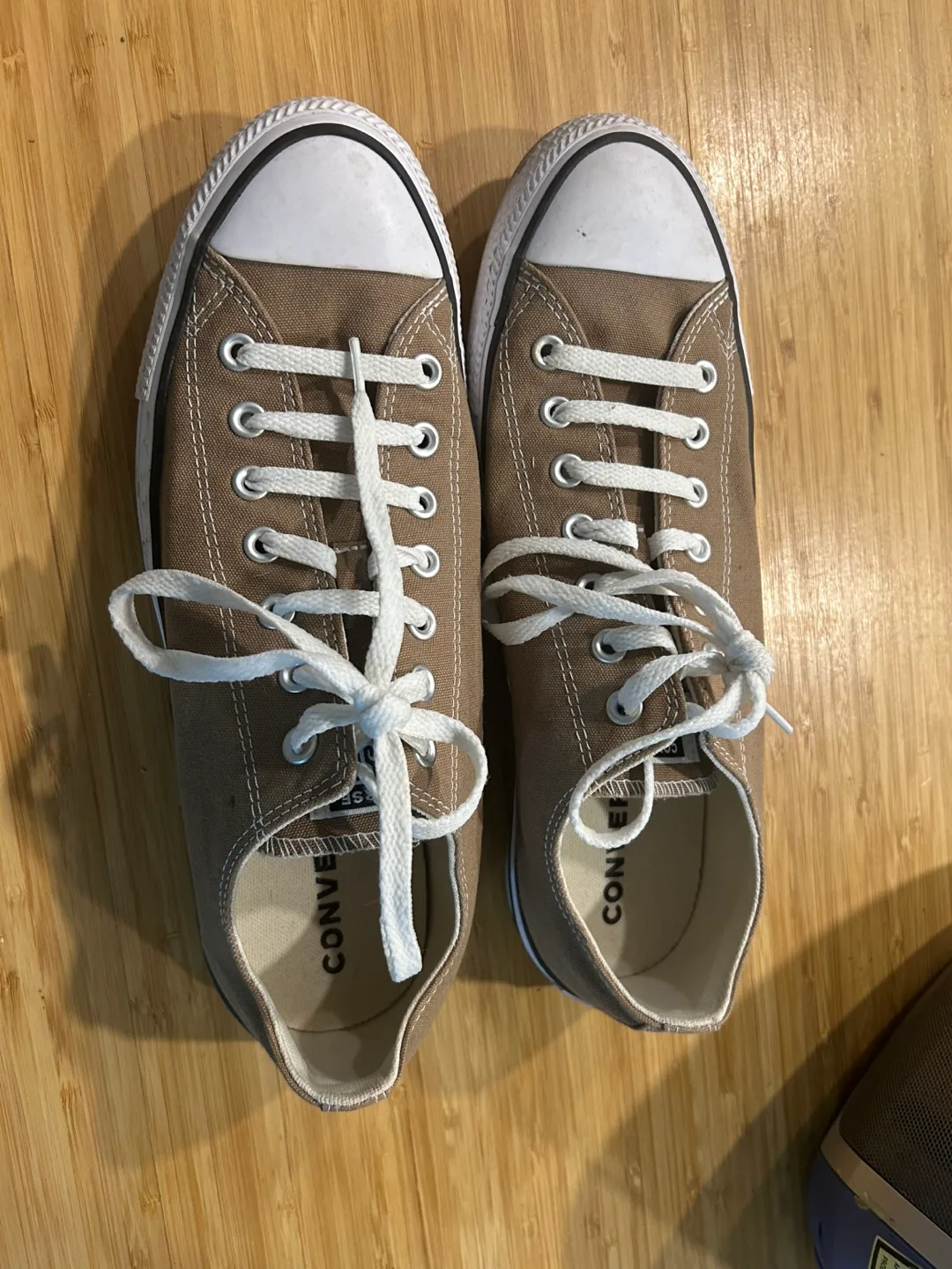 Never worn Converse All Star Shoes - Size 13 men’s brand new thumbnail