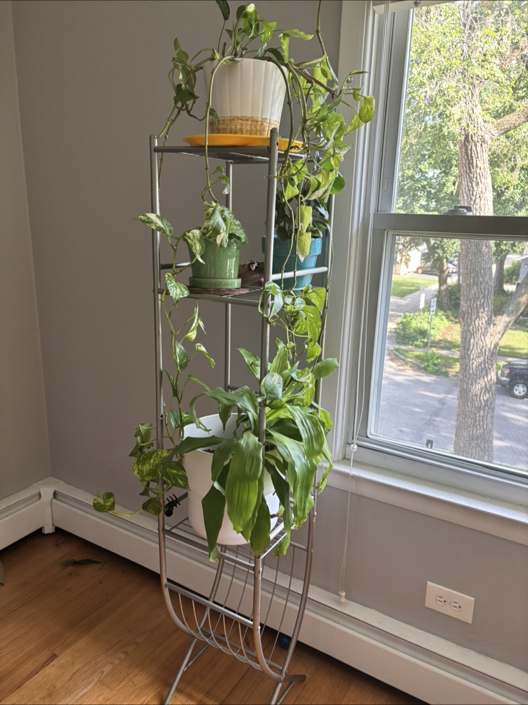 Metal Plant Stand