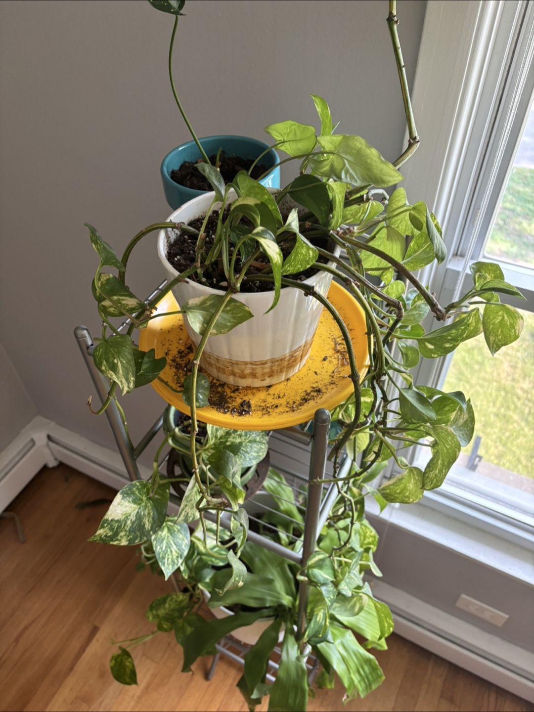 Metal Plant Stand - photo 3
