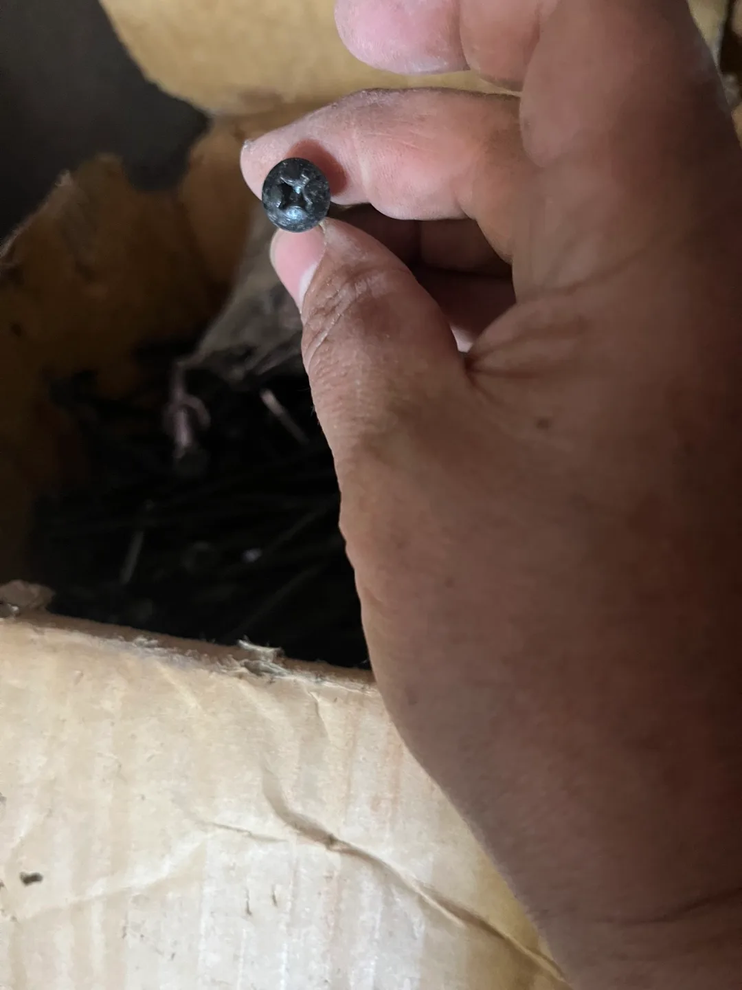 Box of Black Screws image indicator(3)