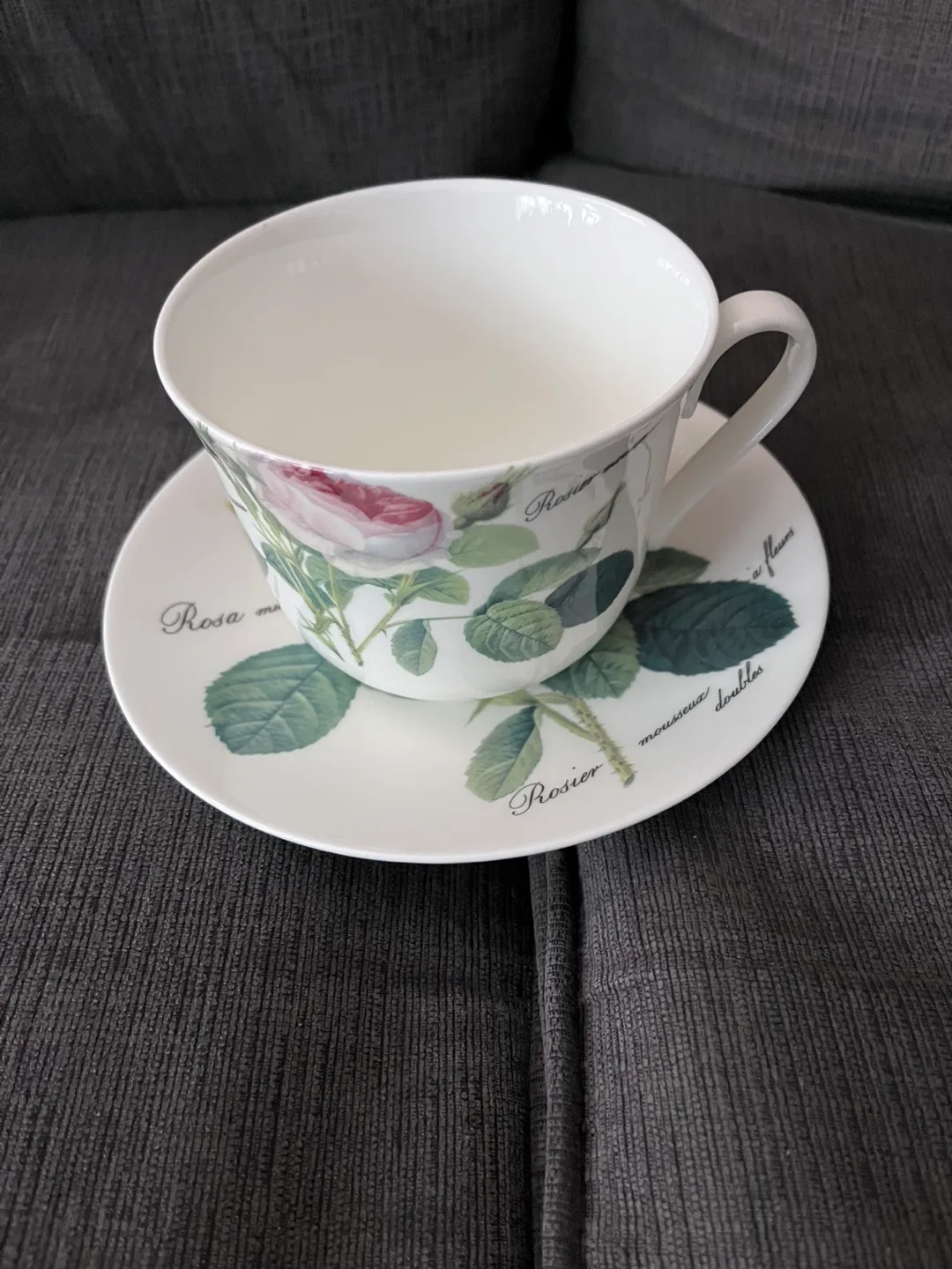 Roy Kirkham Rosa Muscosa Fine Bone China Tea Cup & Saucer thumbnail