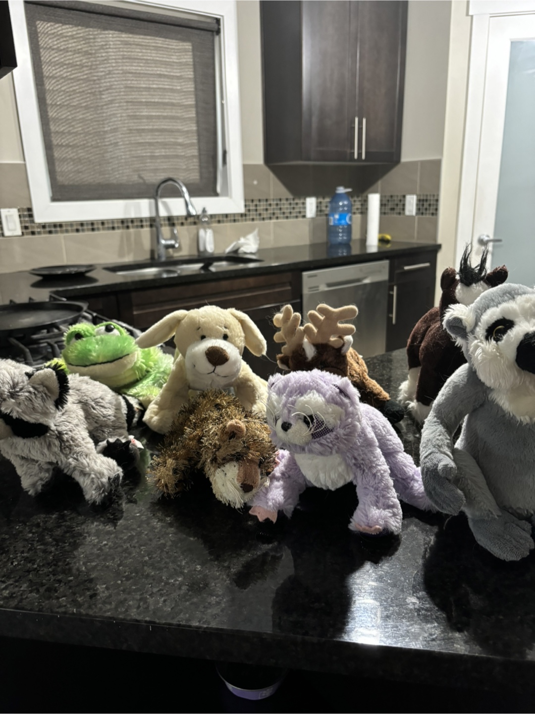 Webkinz Lot Dicounted Prices!