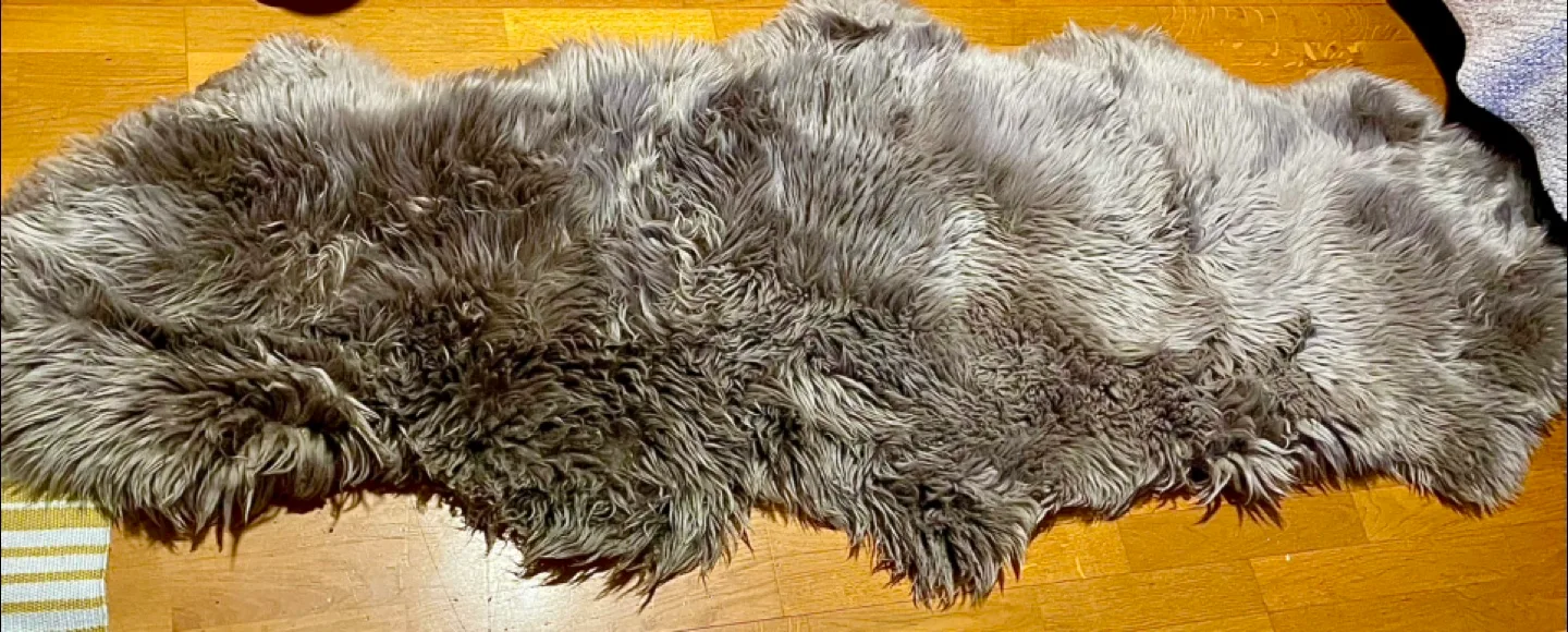 Grey Sheepskin Rug image indicator(3)