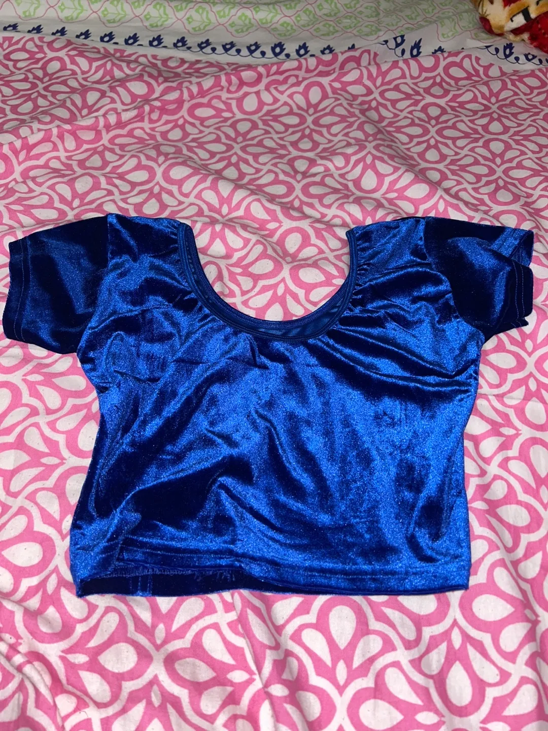 Blue Velvet Crop Top thumbnail
