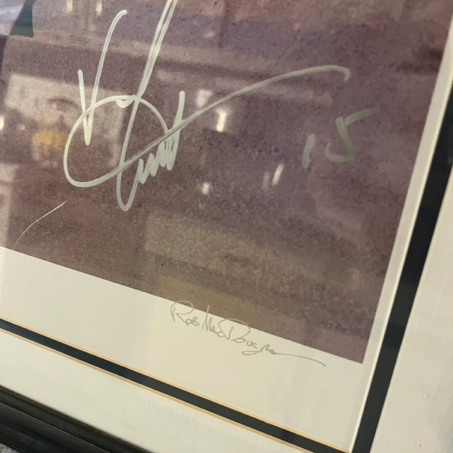 Vince Carter Raptors Framed Print framed 27 1/2x36” image indicator(2)