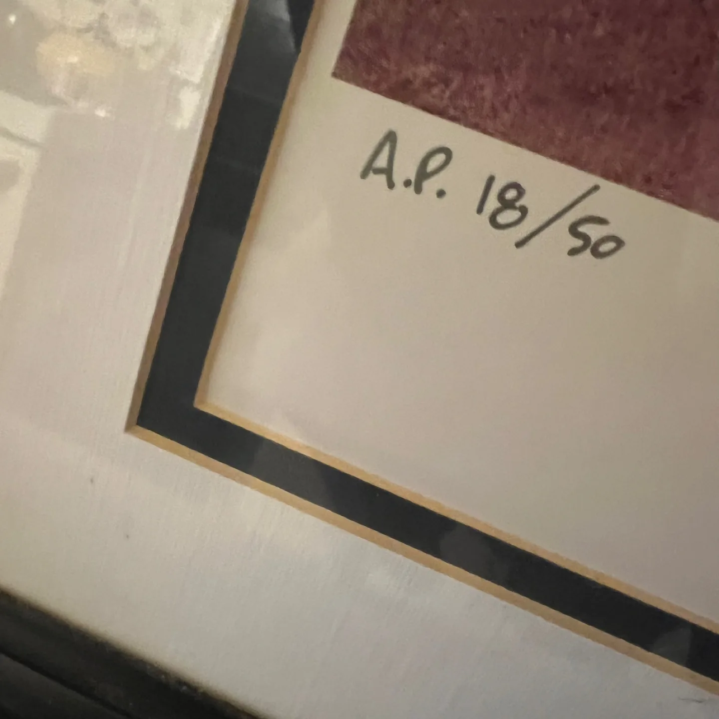 Vince Carter Raptors Framed Print framed 27 1/2x36” image indicator(4)