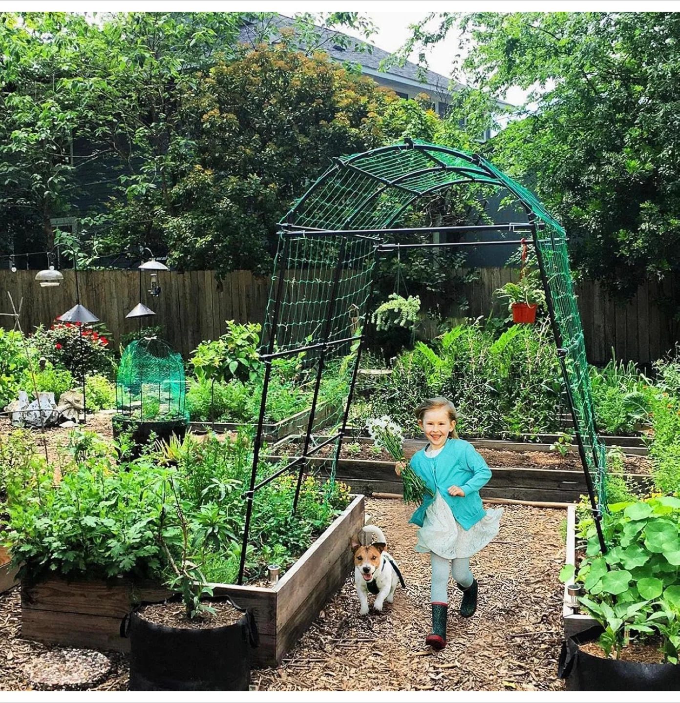 Walkway Trellis for Garden - Adjustable Width thumbnail