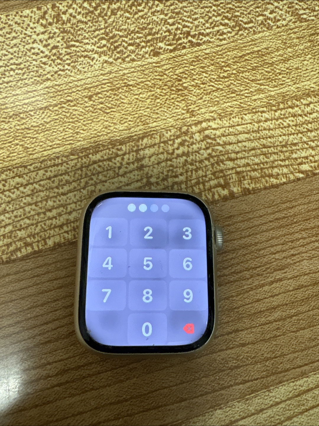 Apple Watch Series 9 with Stainless Steel Band