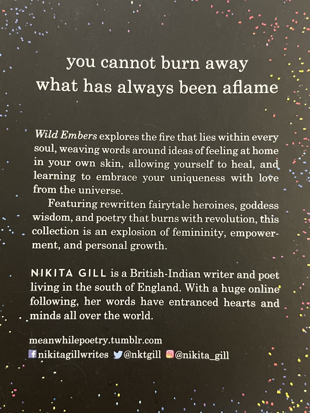Wild Embers by Nikita Gill - photo 3