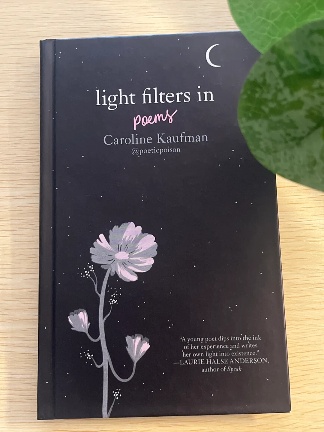 Light Filters In Poems by Caroline Kaufman thumbnail