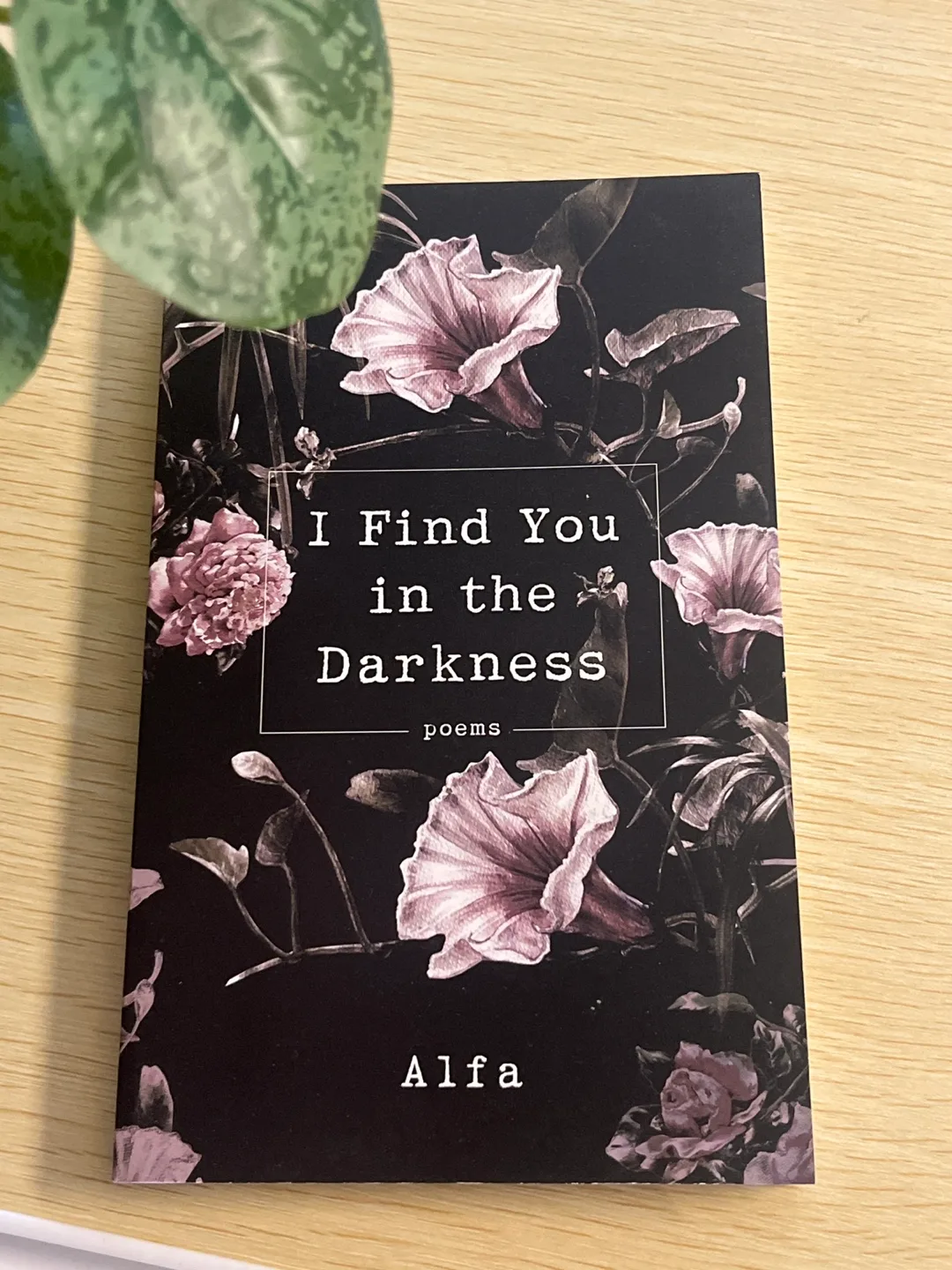 I Find You in the Darkness by Alfa - Poetry Book thumbnail