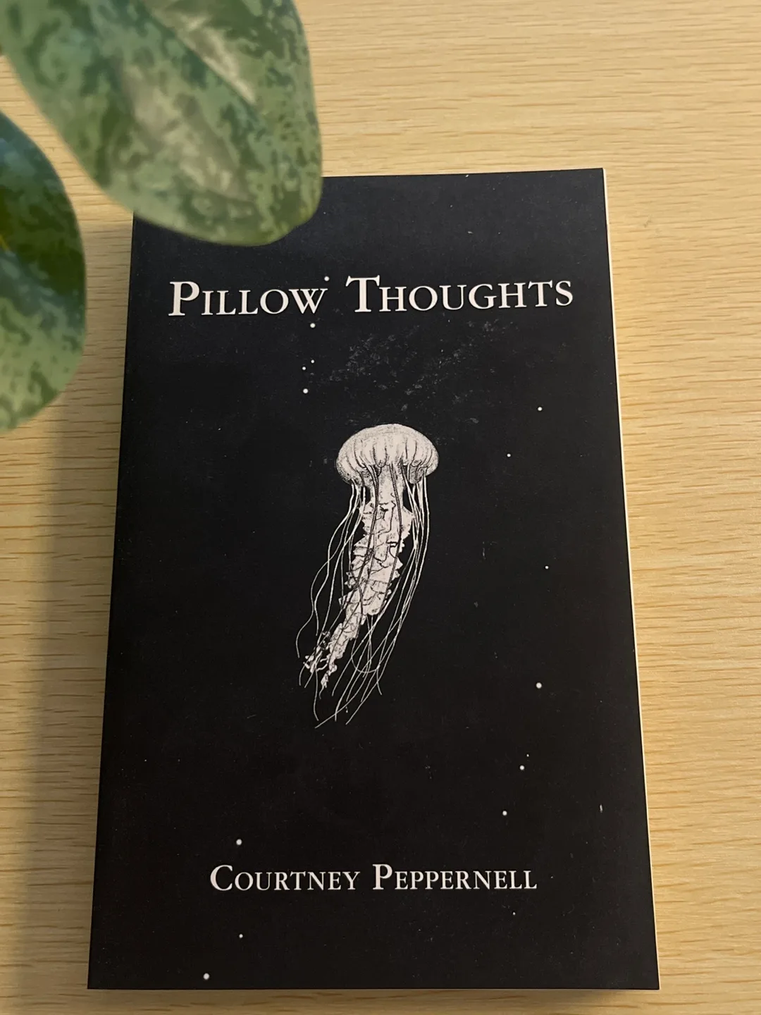 Pillow Thoughts by Courtney Peppernell thumbnail