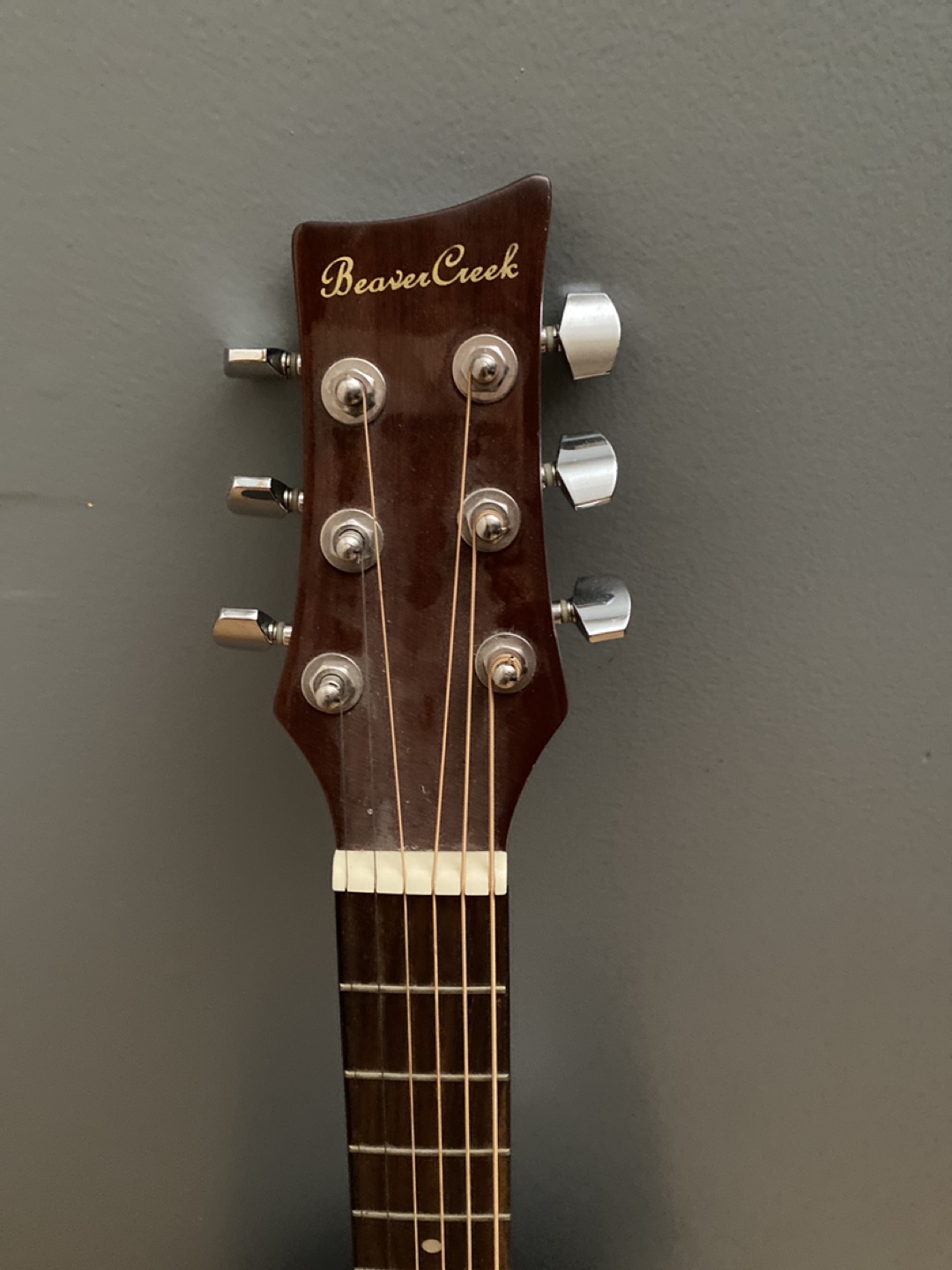 Beaver Creek Acoustic Guitar - Kids, Left - photo 2