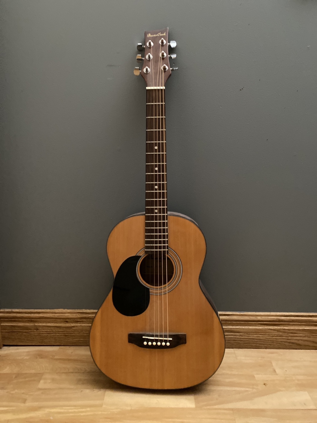 Beaver Creek Acoustic Guitar - Kids, Left