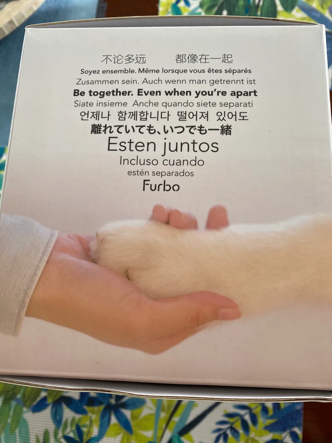 Furbo Dog Camera - Barking Alert & 360° View image indicator(3)