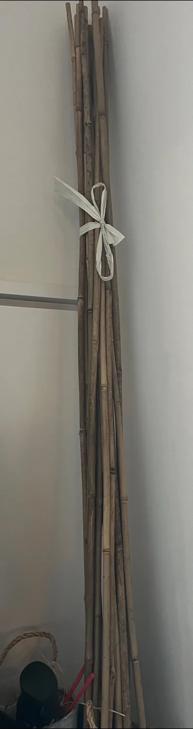 Bamboo Plant or Tree Stakes image indicator(4)