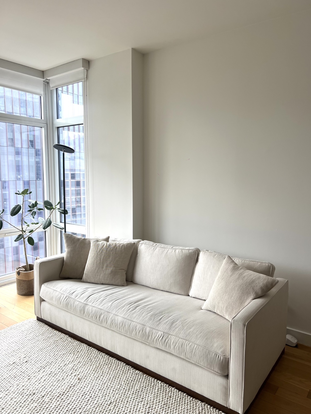 Chic & Comfy Sofa opportunity!