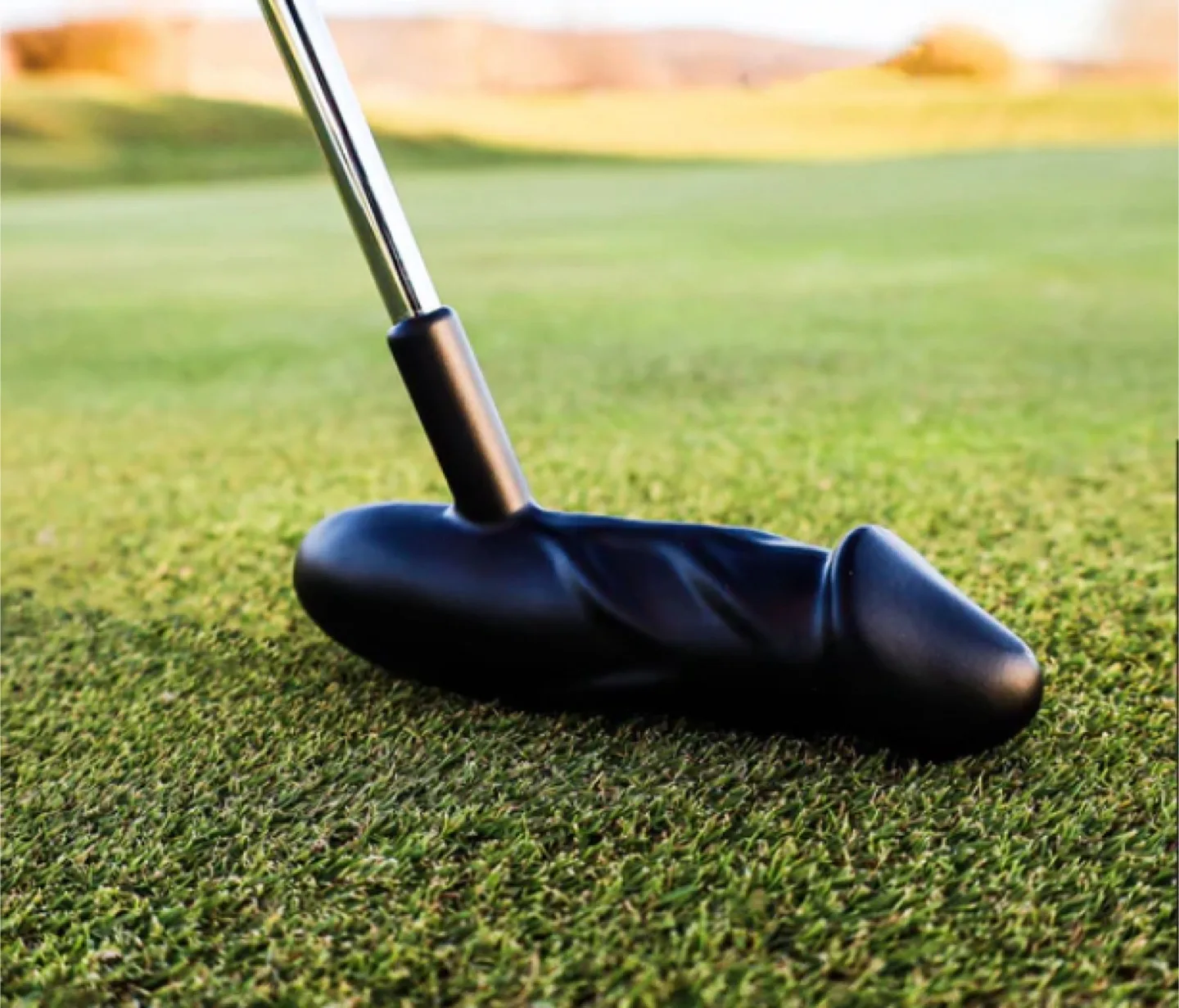 Peter Putter Professional Golf Putter image indicator(3)