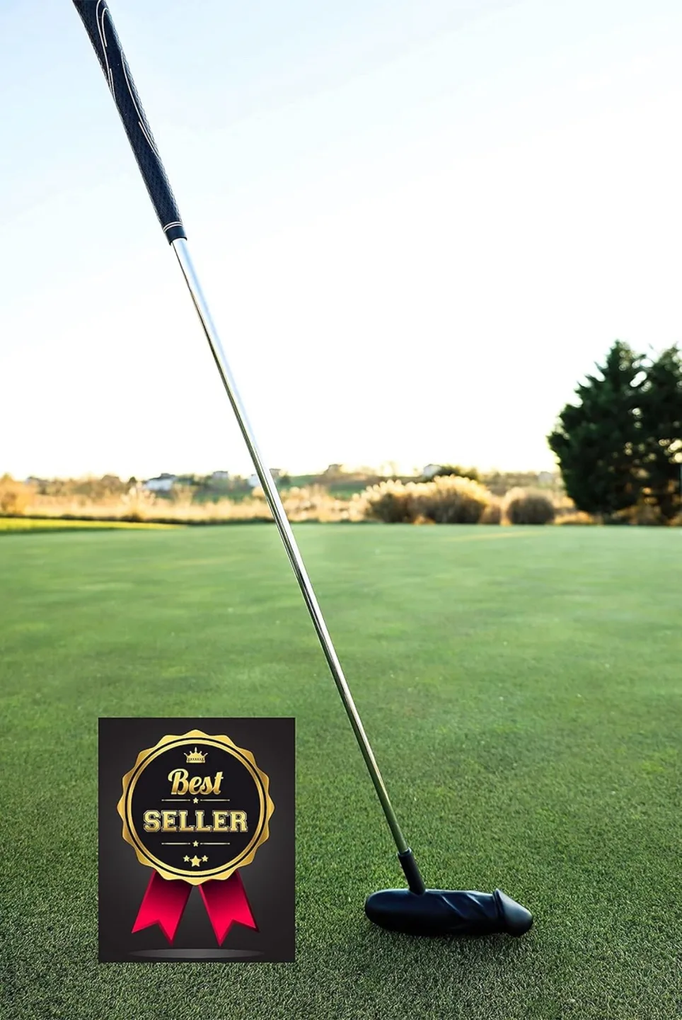 Peter Putter Professional Golf Putter image indicator(4)