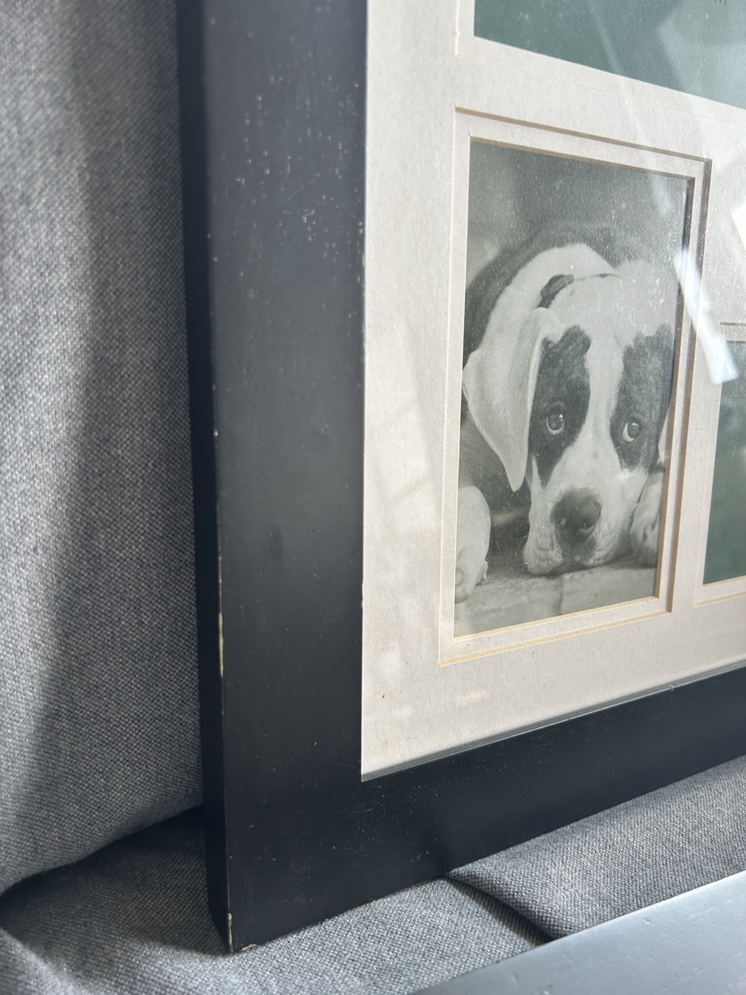 2- Gallery Picture Frames - 4x6in - photo 5