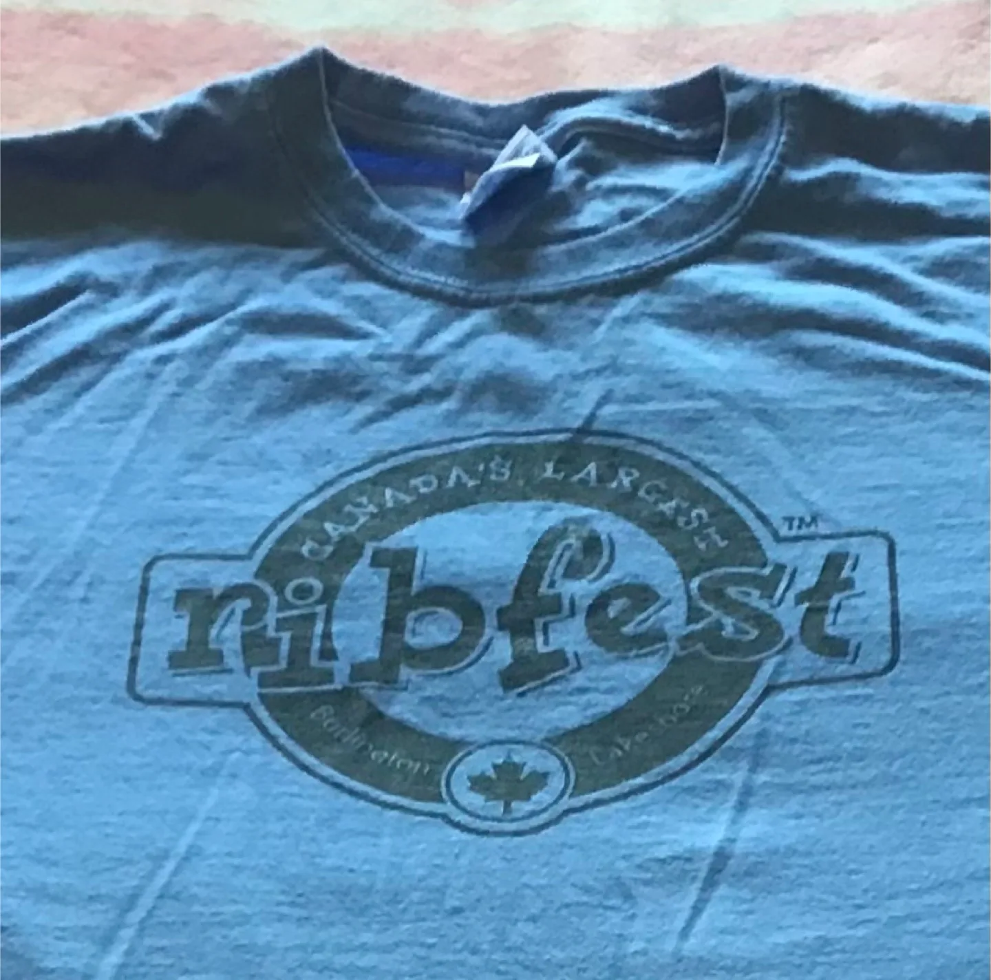 🤩 Ribfest Volunteer T-Shirt Size M image indicator(2)