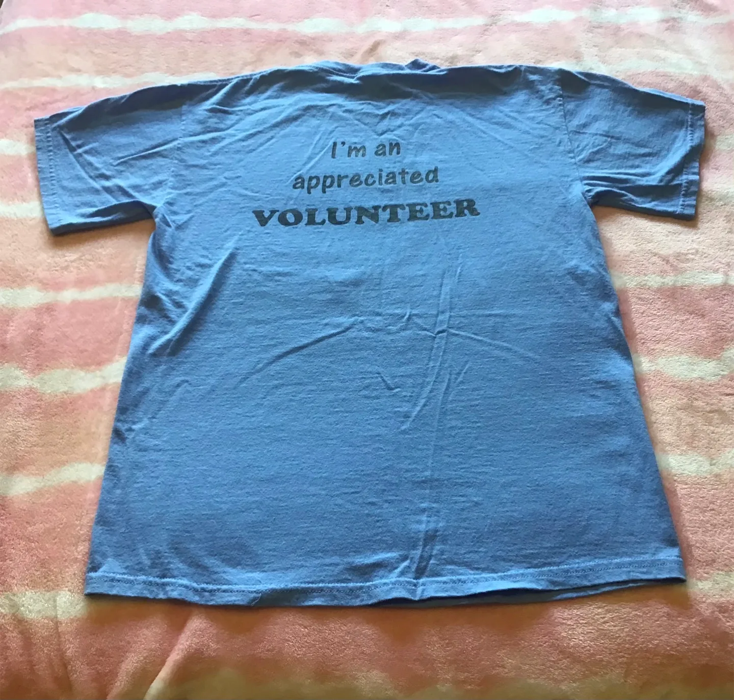 🤩 Ribfest Volunteer T-Shirt Size M image indicator(3)