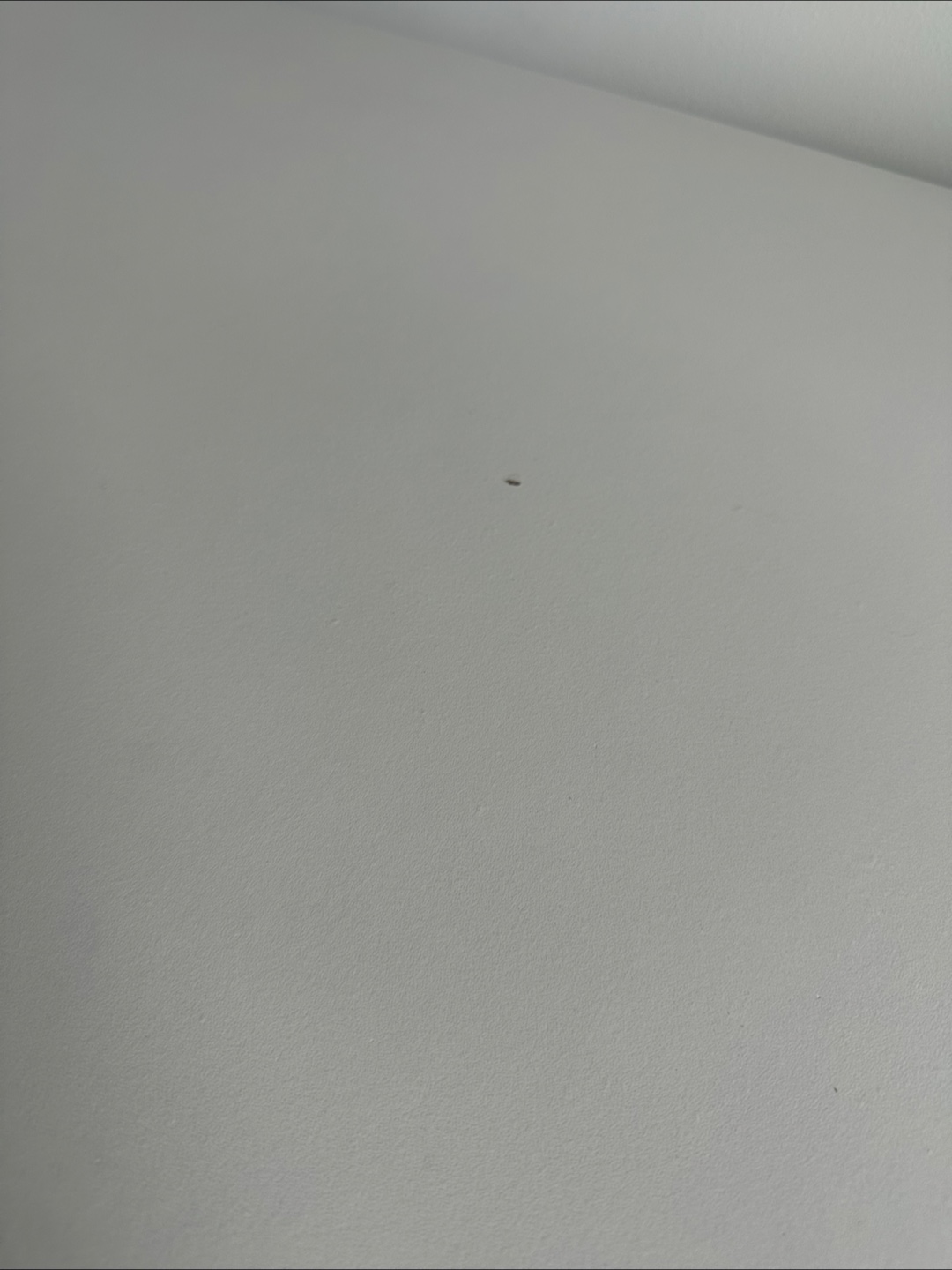 White Desk - 3'3" x 1'6" - photo 3