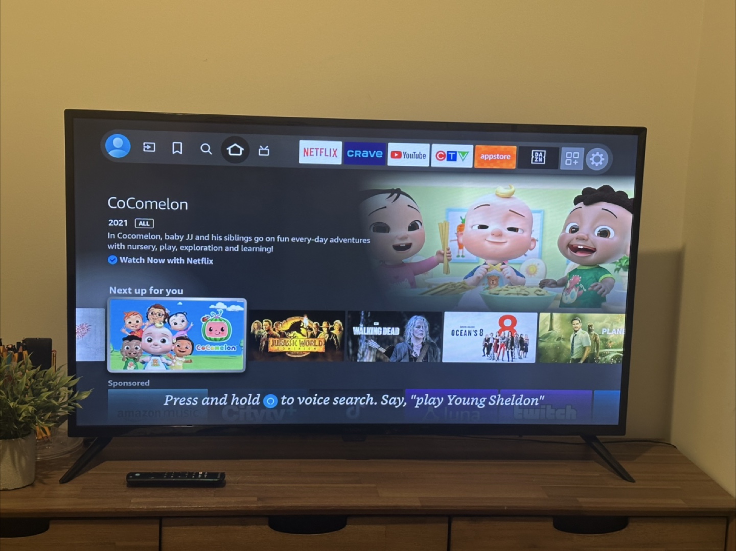 Insignia 42" LED TV - Model NS-42F201CA22
