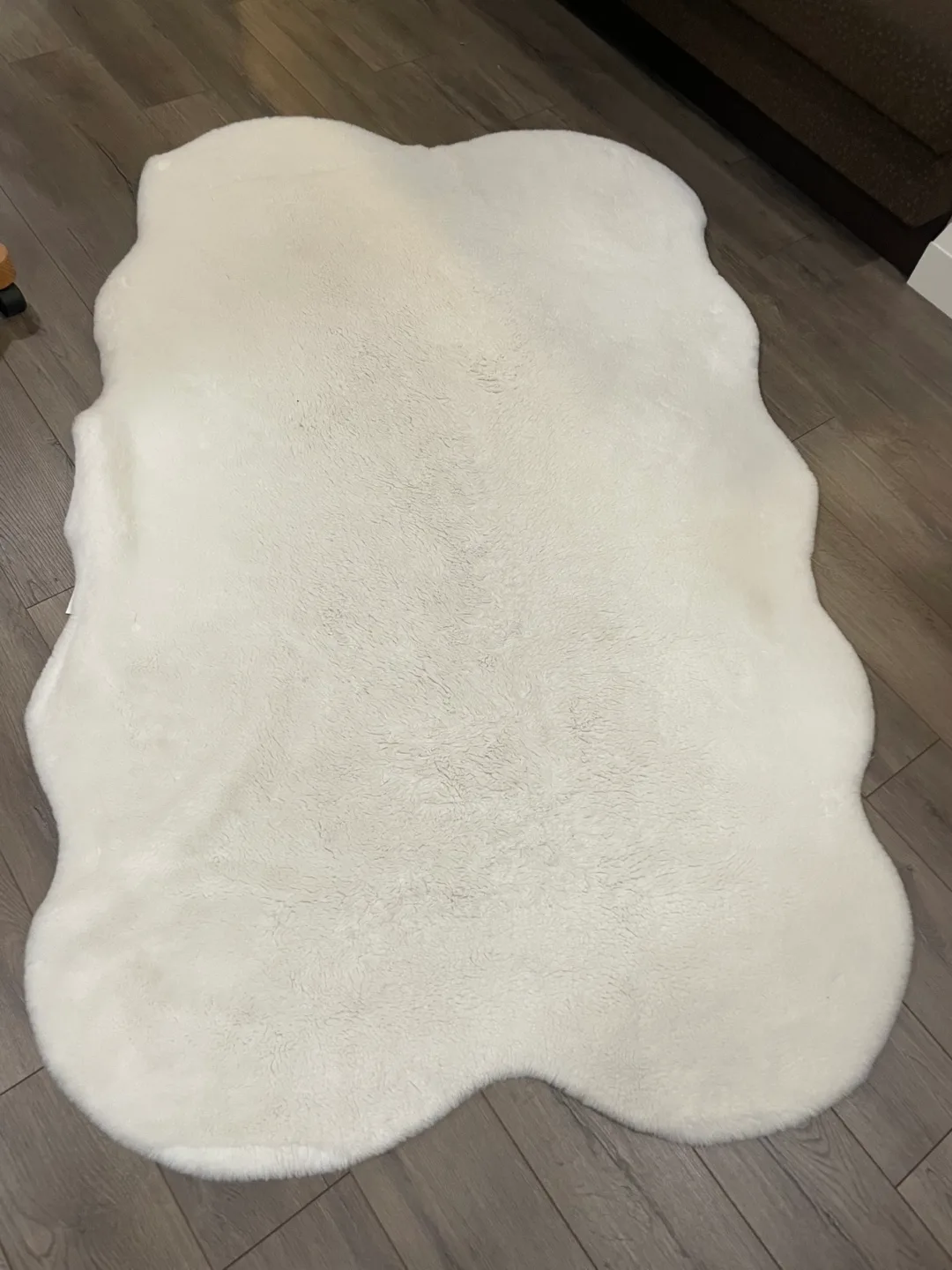 Silhouette Home Accent Rug 4' x 6' thumbnail