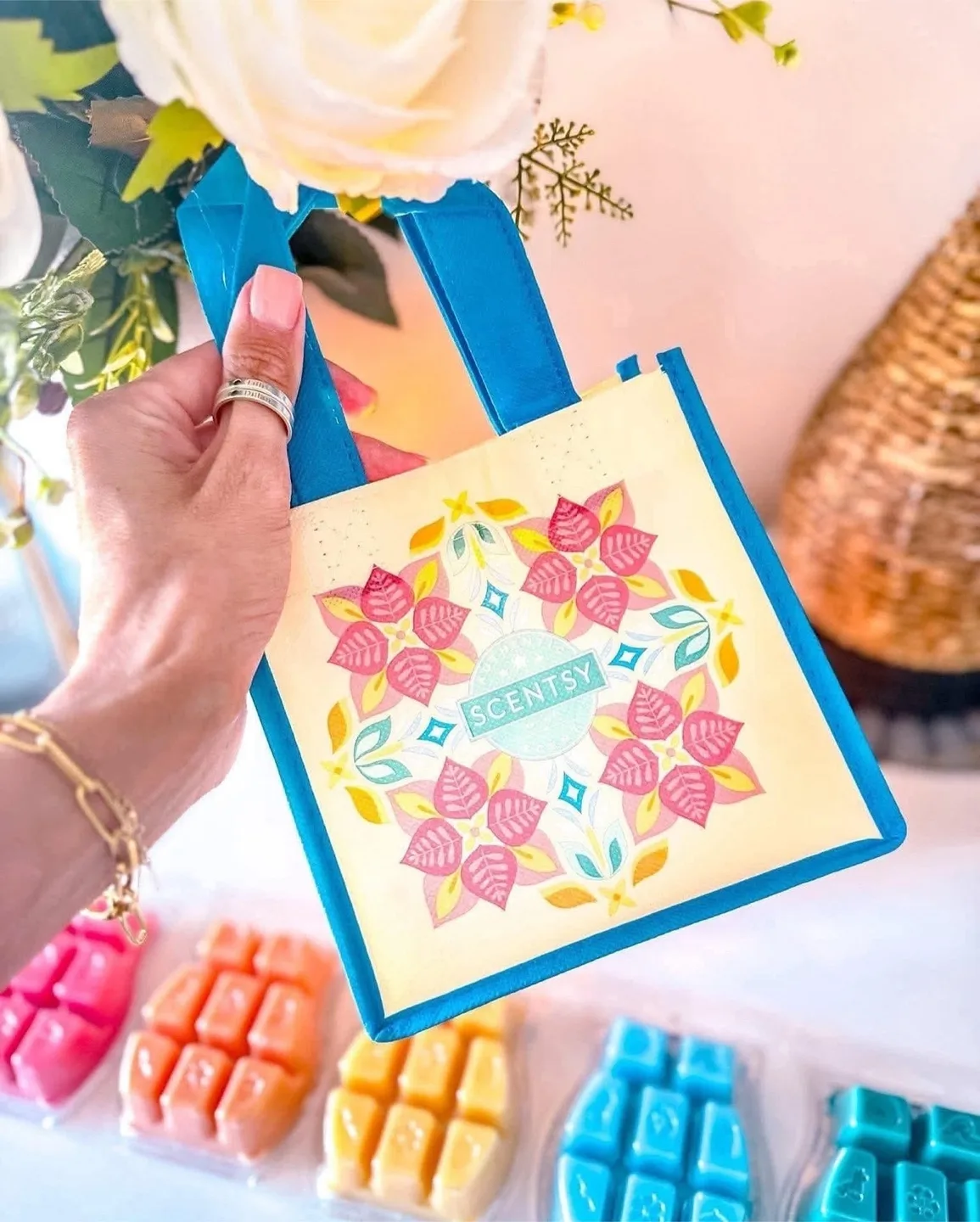 Destination Collection Scentsy Bars. thumbnail