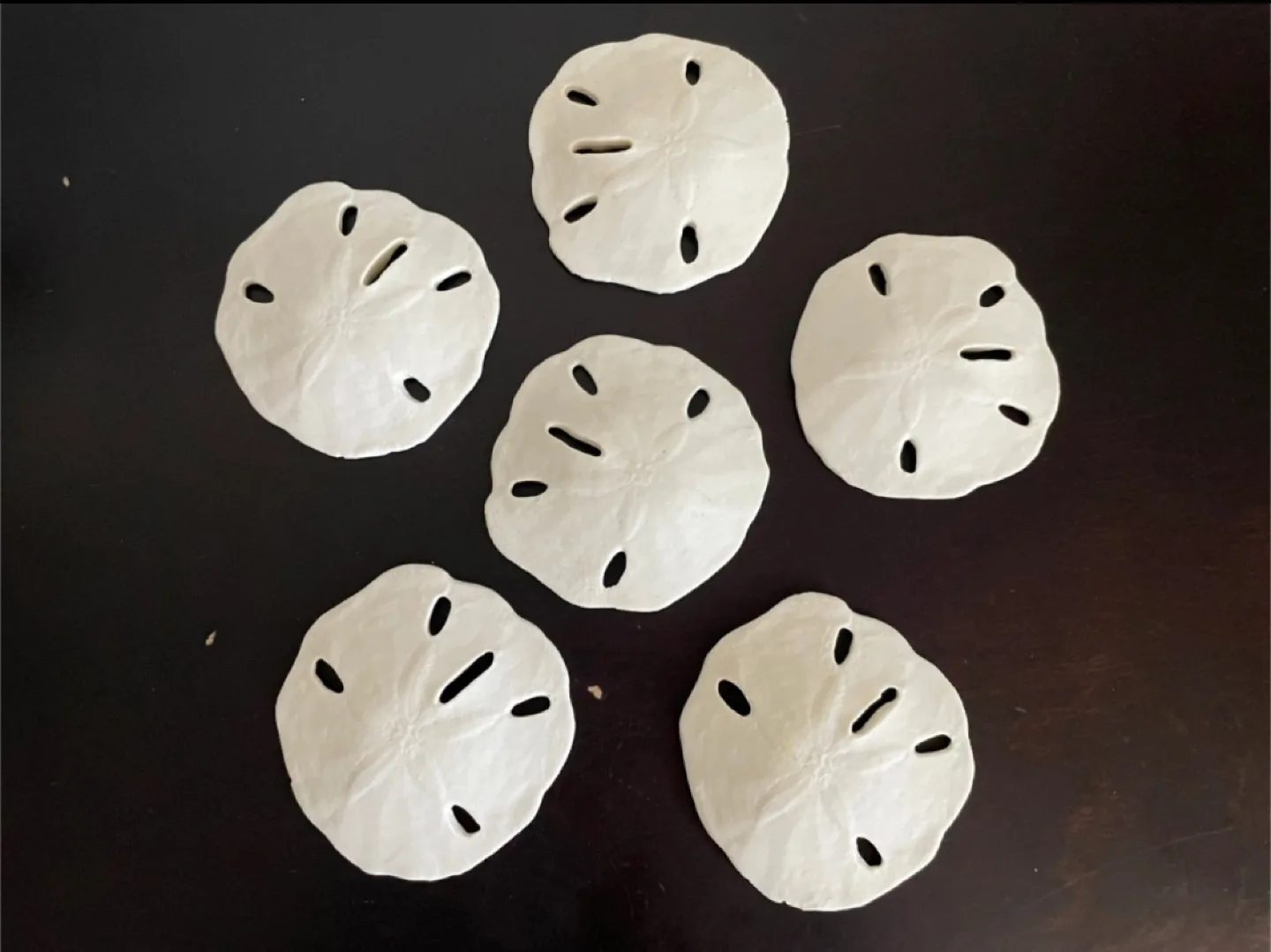 #freecycle 6 Replica Sand Dollars thumbnail