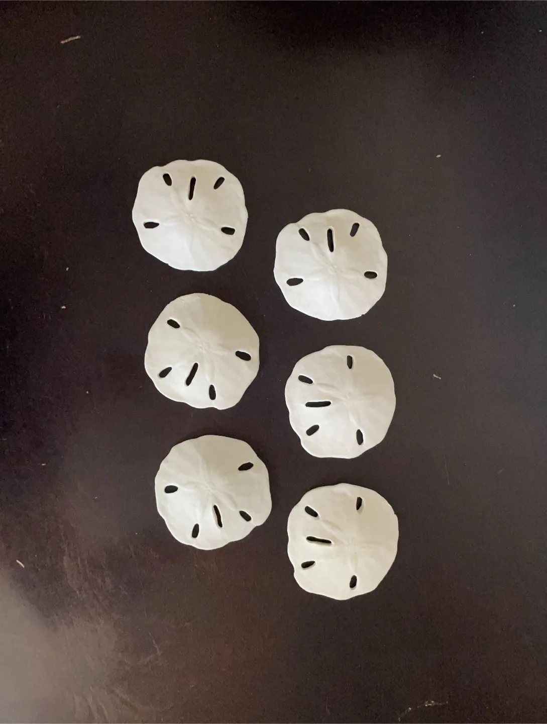 #freecycle 6 Replica Sand Dollars image indicator(2)