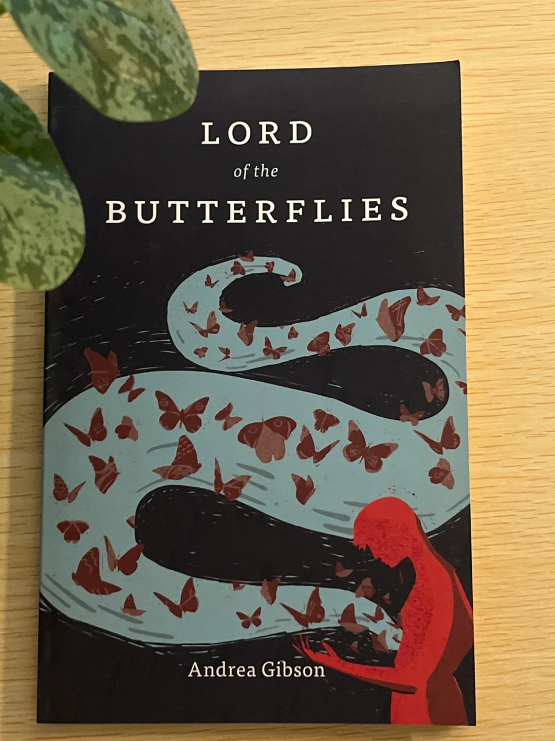 Lord of the Butterflies by Andrea Gibson thumbnail