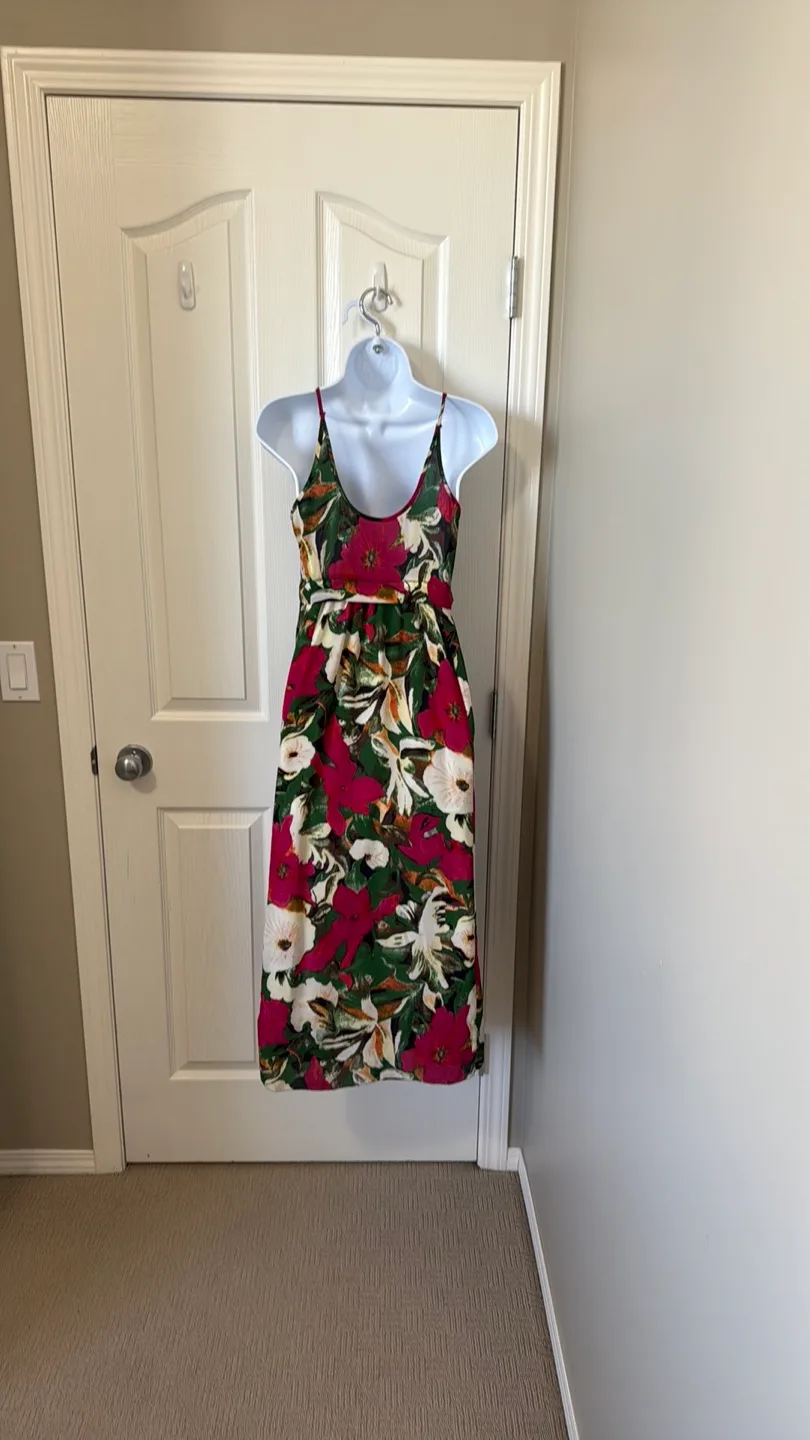 Wilfred Silk Maxi Dress image indicator(4)