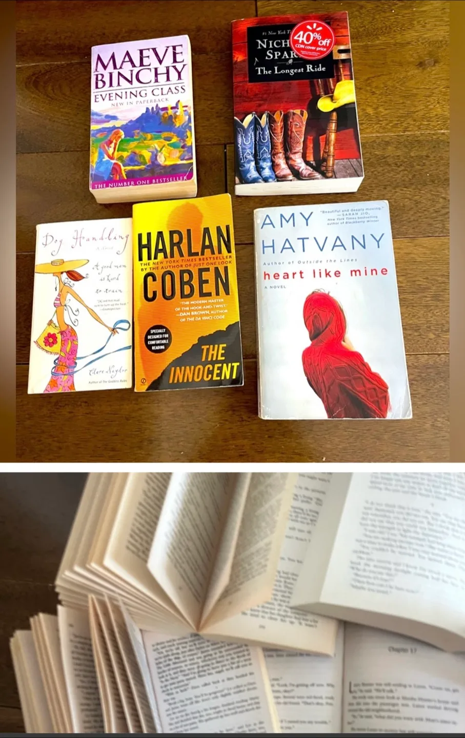 Mixed Lot of Novels & Books. Price for lot image indicator(4)